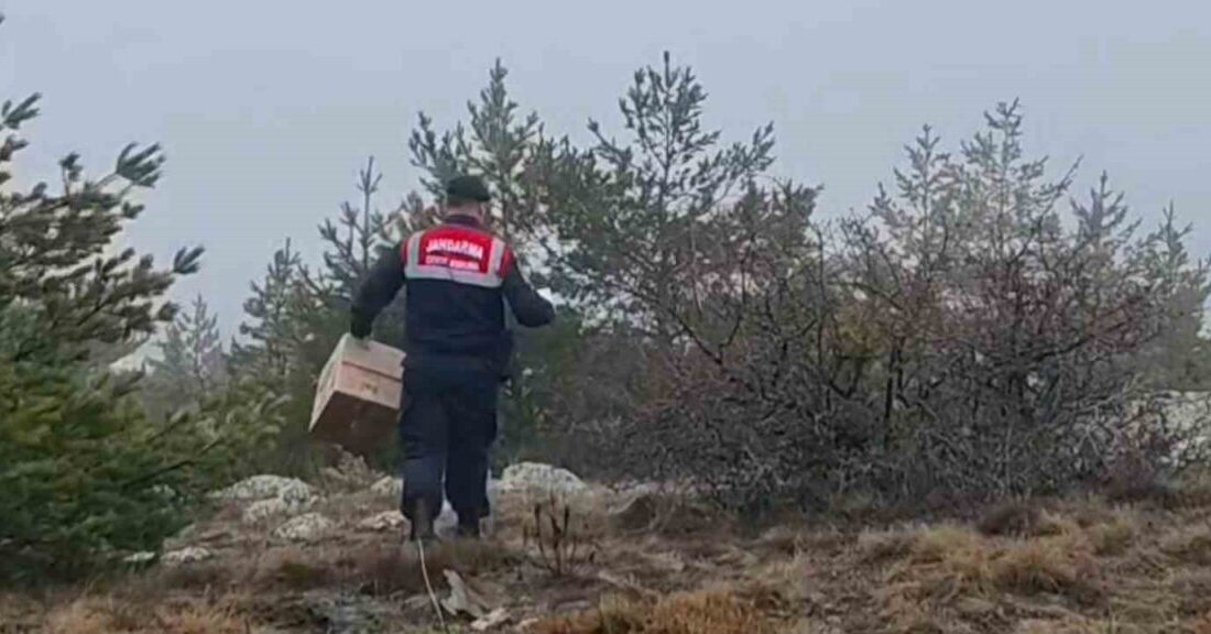 Yozgat’ta HAYDİ ekipleri doğadaki canlılar için yem bırakarak çevre kontrolleri