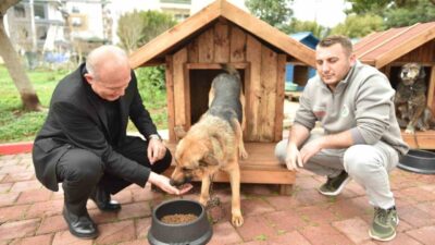 Kepez Belediyesi’ne bağlı Veteriner İşleri Müdürlüğü’nün Sokak Hayvanları Geçici Bakım