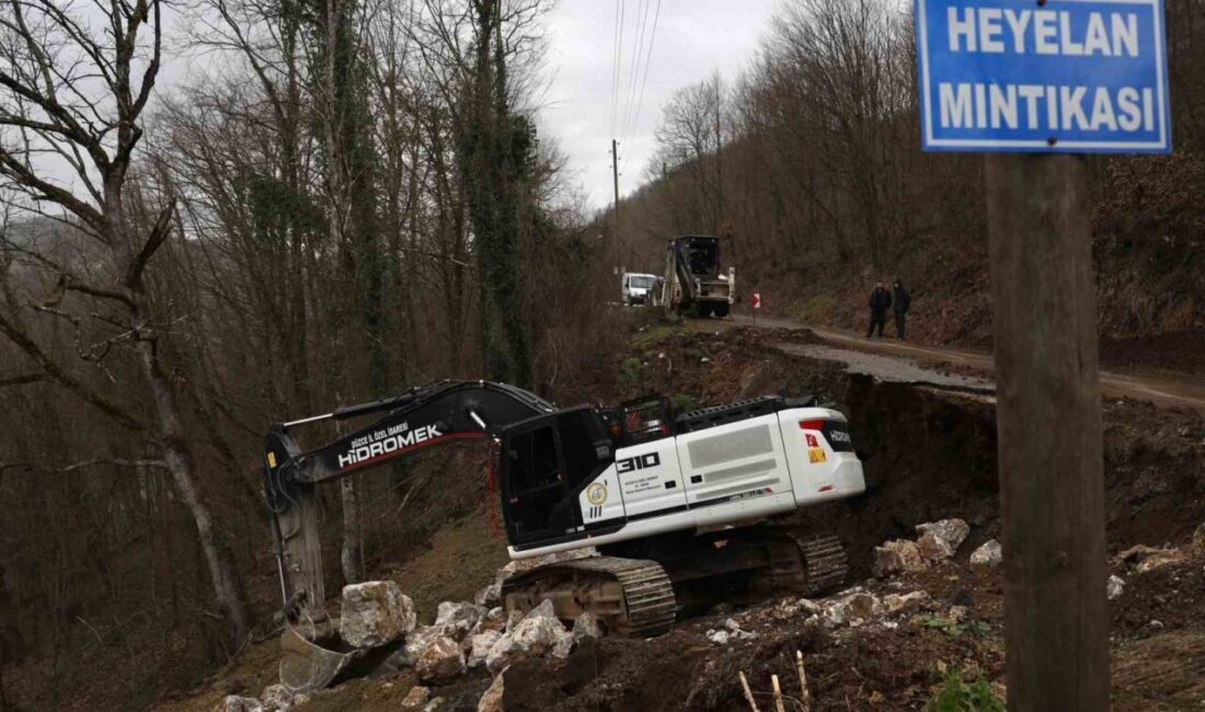 DÜZCE (İHA) – Düzce’de Yol ve Ulaşım Hizmetleri Müdürlüğü ekipleri