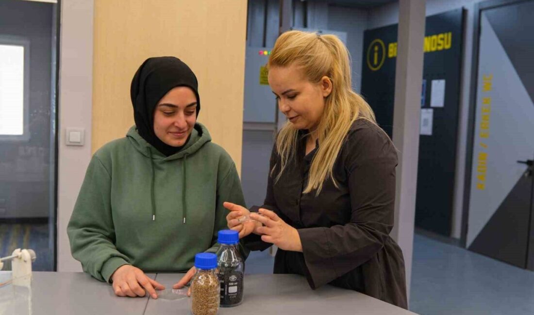 Sanayi ve Teknoloji Bakanlığı öncülüğünde ve TÜBİTAK desteğiyle Çorum Hitit