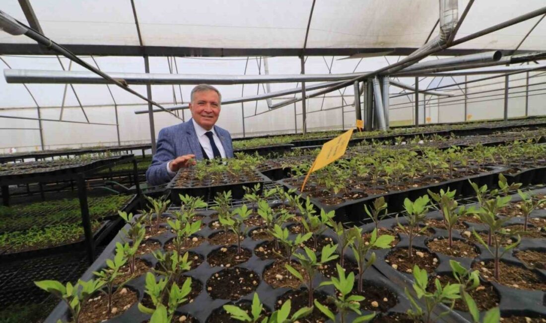 Honaz Belediye Başkanı Yüksel Kepenek, 8 Mart Dünya Emekçi Kadınlar