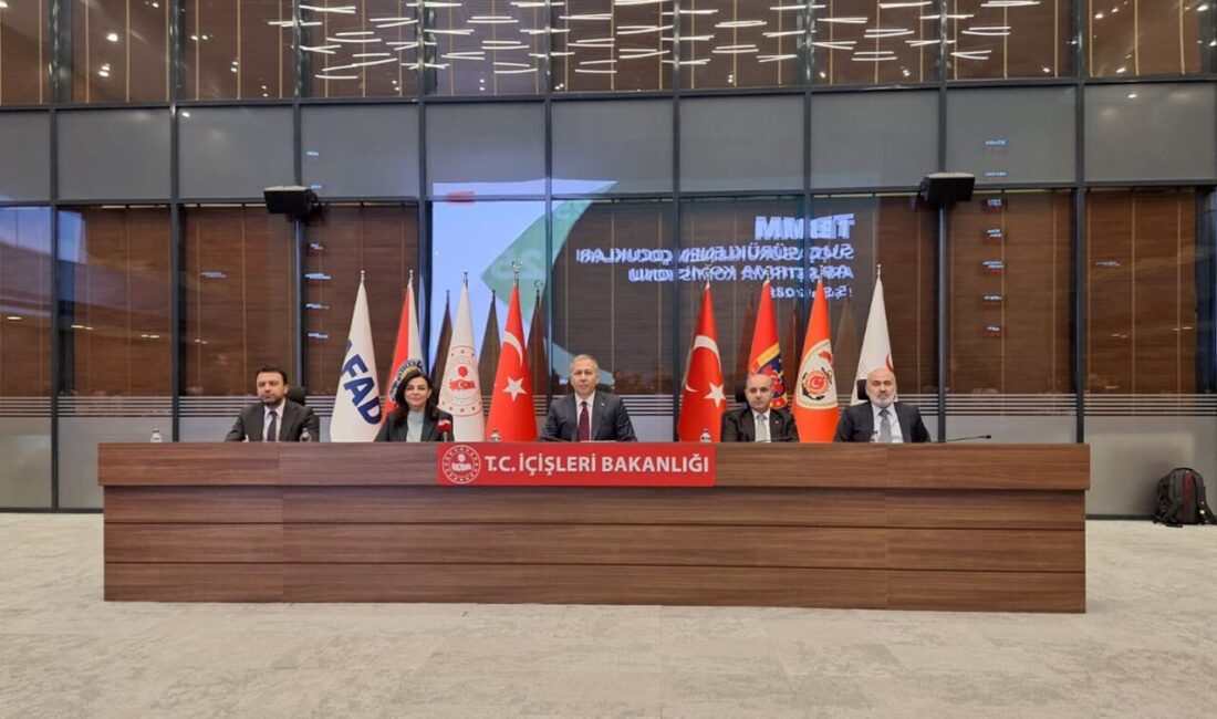İçişleri Bakanı Ali Yerlikaya, Türkiye Büyük Millet Meclisi (TBMM) Suça