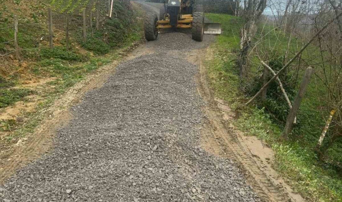 DÜZCE (İHA) – Düzce İl Özel İdaresi Yol ve Ulaşım