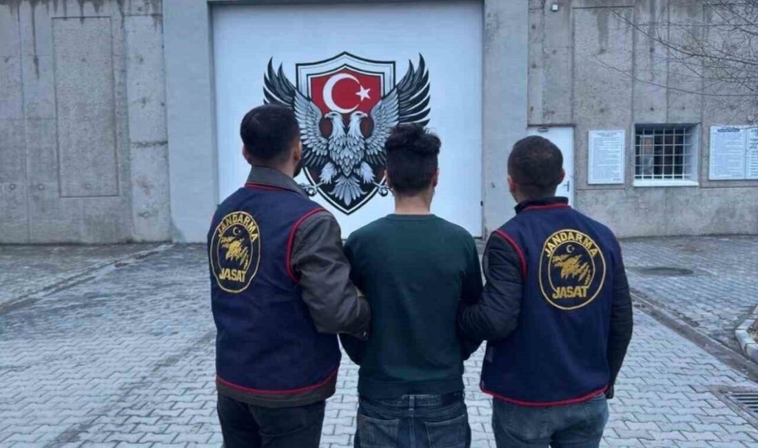 Iğdır İl Jandarma Komutanlığı bünyesinde görev yapan JASAT (Jandarma Suç