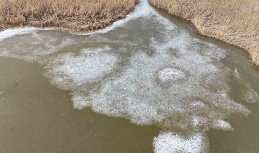 Ağrı Dağı Milli Parkı sınırlarında yer alan Karasu sazlığında, havaların