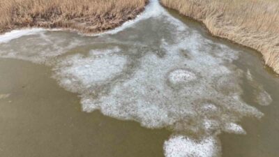 Ağrı Dağı Milli Parkı sınırlarında yer alan Karasu sazlığında, havaların