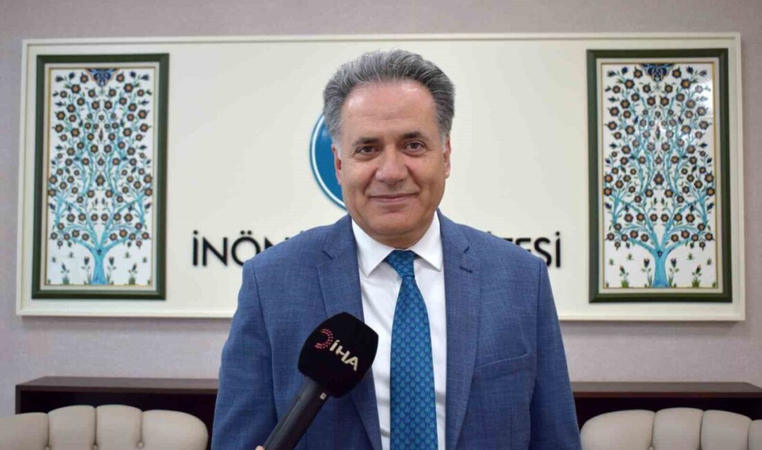 Malatya İnönü Üniversitesi, Times Higher Education (THE) World University Rankings