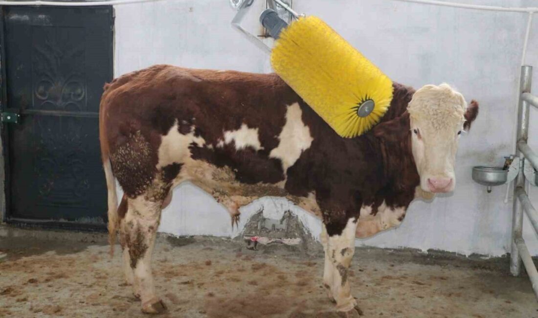 IPARD III Programı kapsamında Erzincan’da tarım ve hayvancılığa yönelik 12