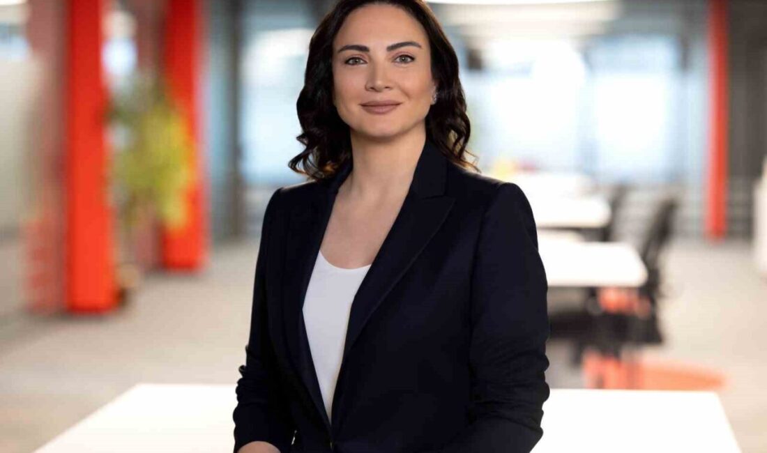 Türkiye İş Bankası, Visa ve Logo Yazılım iş birliğiyle ticari