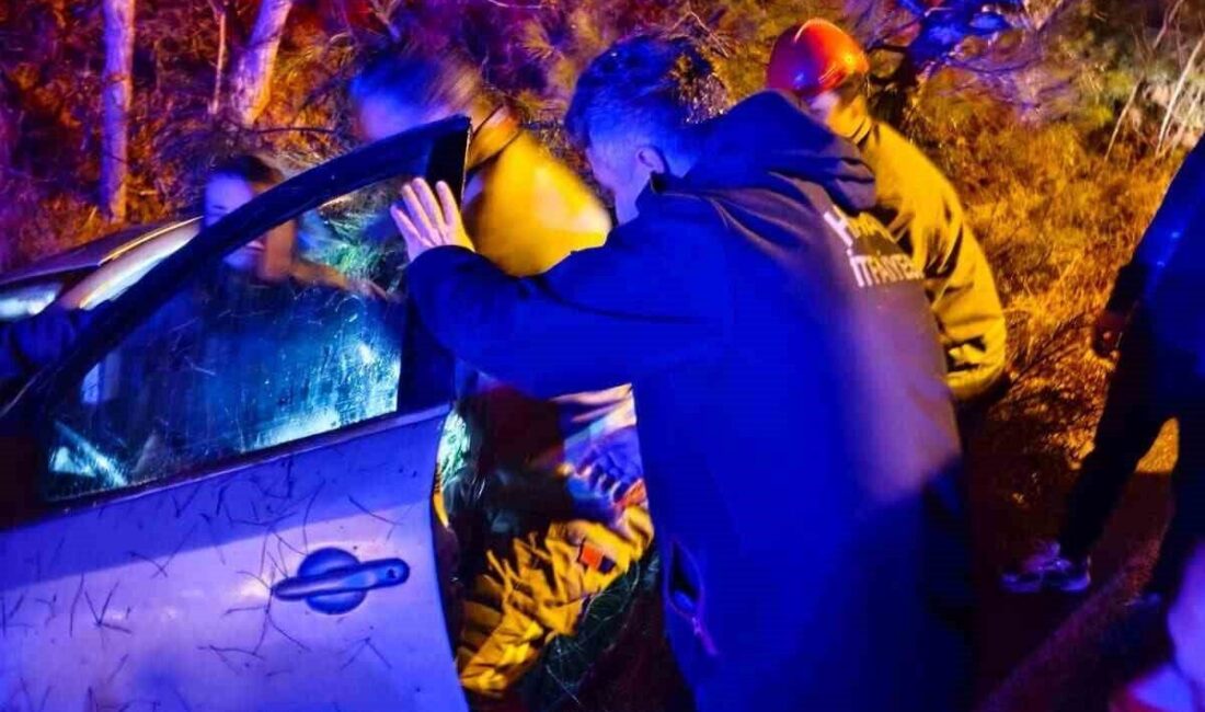 Hatay’da sürücüsünün kontrolünü kaybetmesiyle yol kenarına devrilen otomobilin sürücüsü yaralandı.