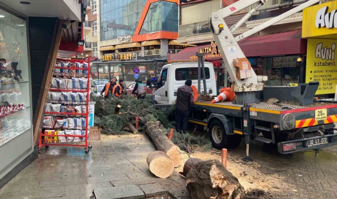 Isparta’da şiddetli rüzgar nedeniyle bir iş yerinin önündeki ağaç kökünden
