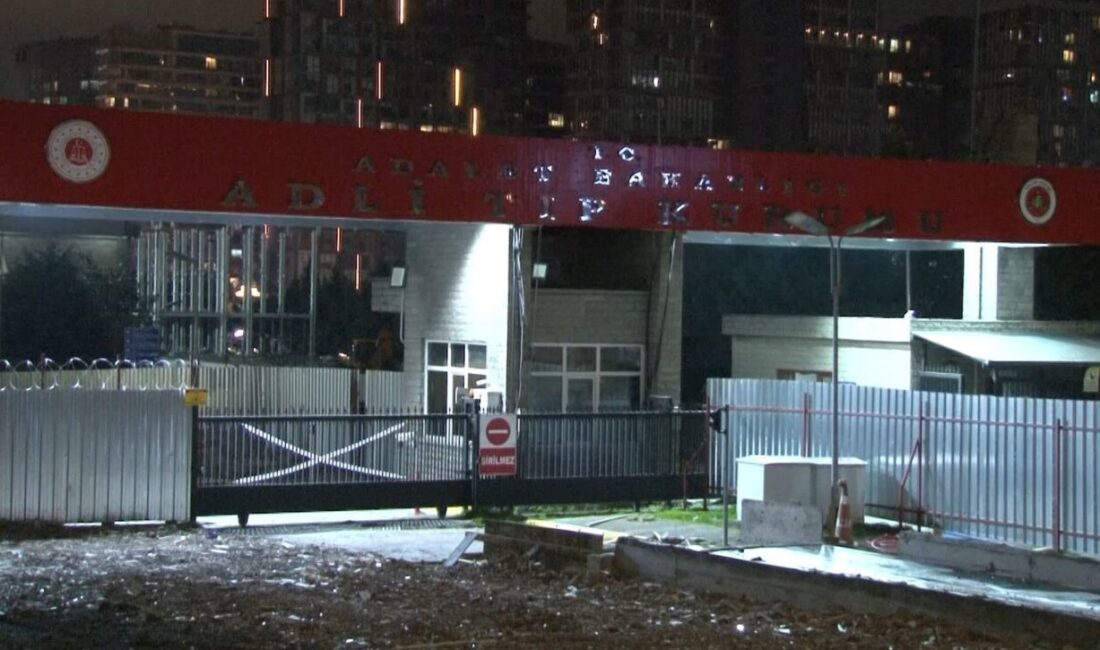 İstanbul’un Arnavutköy ilçesinde tartıştığı ağabeyini silahla vurarak öldüren ve ardından