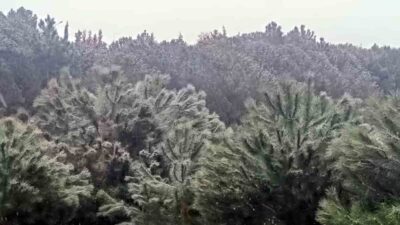 İstanbul’da beklenen kar yağışı yüksek kesimlerde etkisini göstermeye başladı. Anadolu