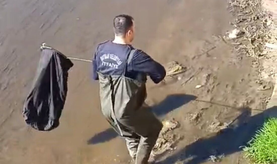 Batman’da dereye düşen horoz, itfaiye ekiplerinin uzun uğraşları sonucu kurtarıldı.