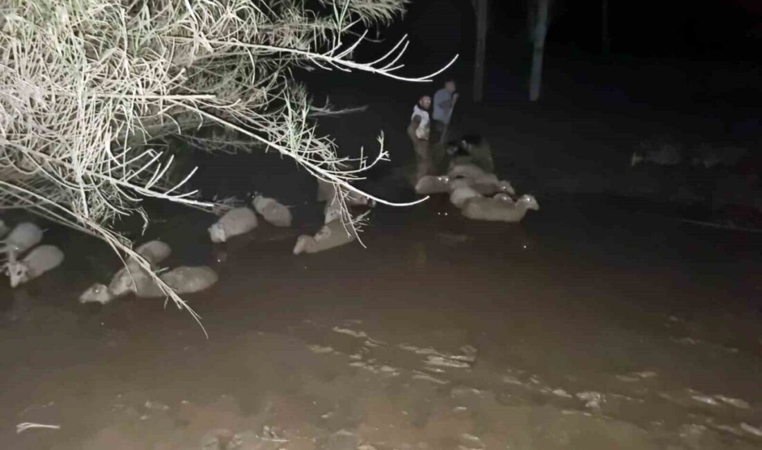 Muğla Büyükşehir Belediyesi İtfaiye ekipleri, Milas ilçesi Güneş Mahallesinde çamura