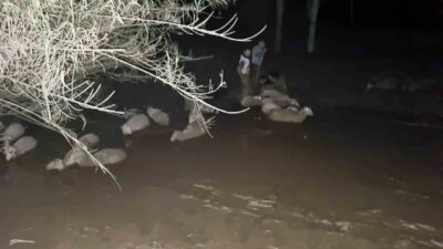 Muğla Büyükşehir Belediyesi İtfaiye ekipleri, Milas ilçesi Güneş Mahallesinde çamura