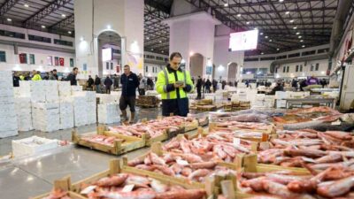 İzmir’de Su Ürünleri Hali 2025 yılında 51 bin 699 tonluk