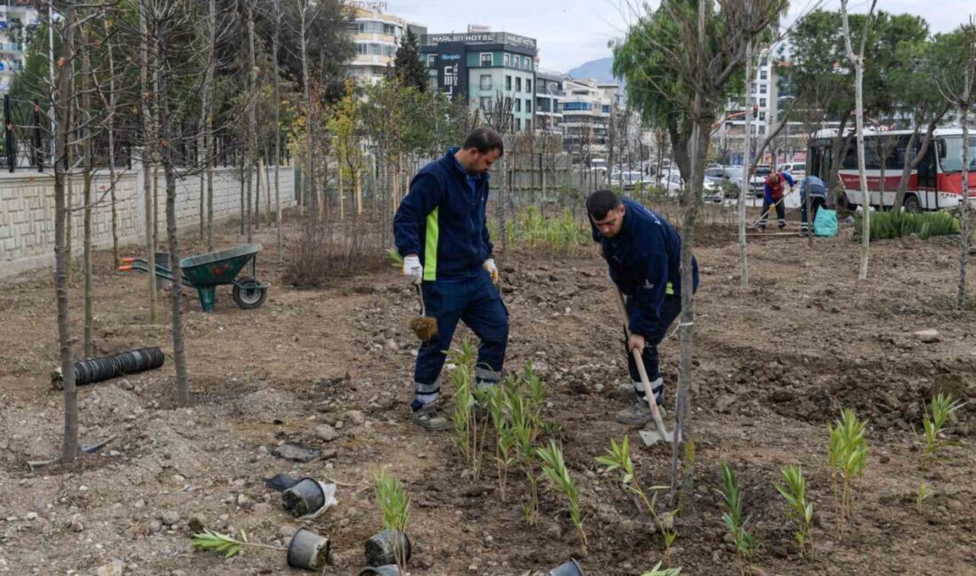 İzmir Büyükşehir Belediyesi, atıl alanları mini ormanlara dönüştürerek kentin yeşil