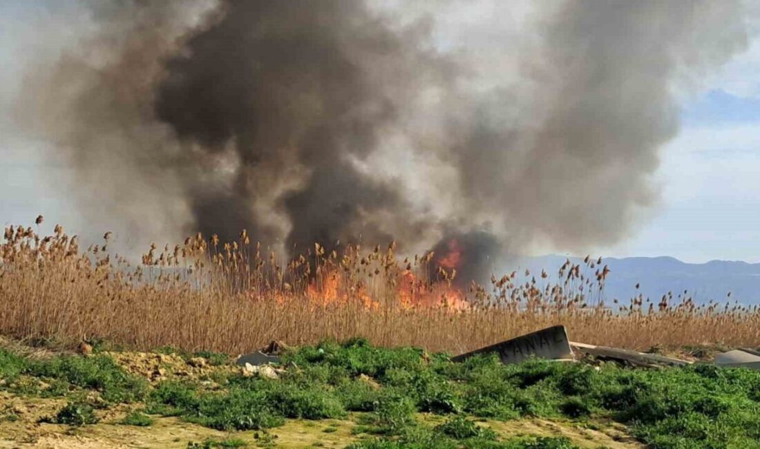 Bursa’nın İznik ilçesinde sazlık alanda çıkan ve rüzgarın etkisiyle büyüyen