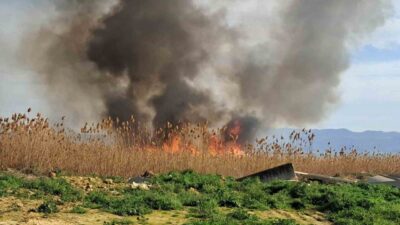 Bursa’nın İznik ilçesinde sazlık alanda çıkan ve rüzgarın etkisiyle büyüyen