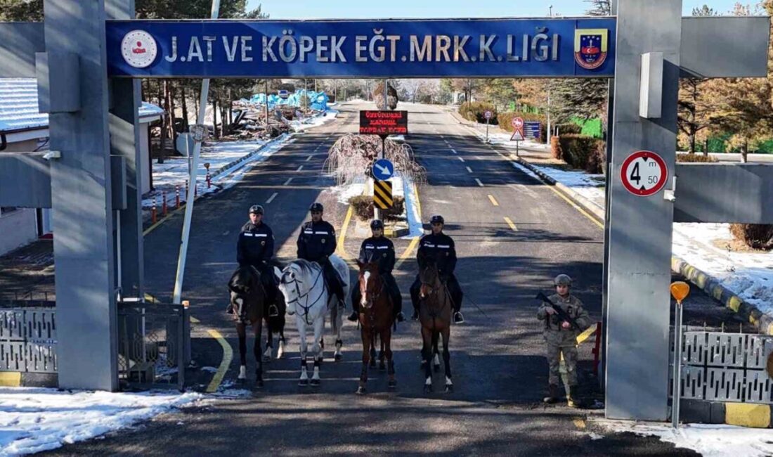 Jandarma Genel Komutanlığı bünyesinde faaliyet gösteren Jandarma At ve Köpek