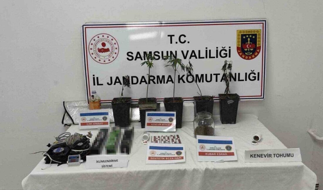 Samsun’un İlkadım ilçesinde jandarma ekiplerinin düzenlediği operasyonda bir şahsın ikametinde