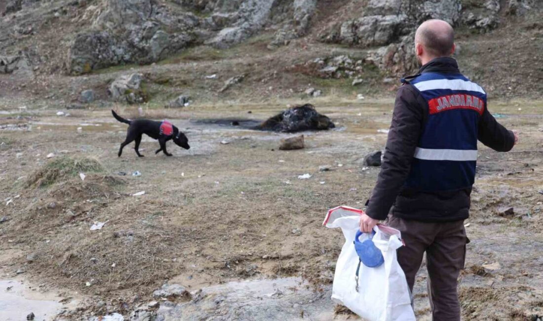 Elazığ’da 3 gündür kayıp olarak aranan 74 yaşındaki şahıs için