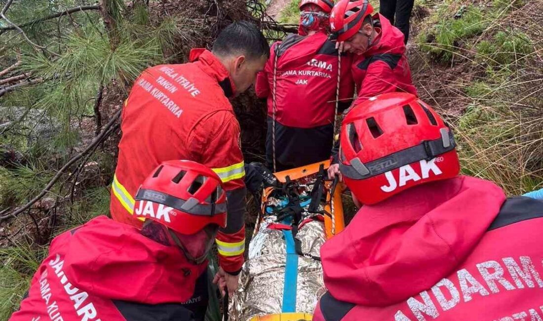 Muğla’nın Fethiye ilçesi Faralya Mahallesi sınırlarında bulunan Kabak Koyu Cennet