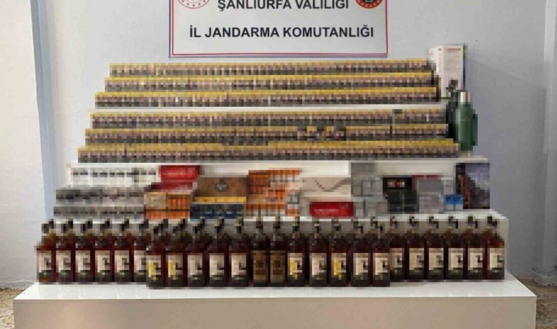 Şanlıurfa’nın Ceylanpınar ve Akçakale ilçelerinde jandarma ekiplerince 2 gün süren