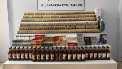 Şanlıurfa’nın Ceylanpınar ve Akçakale ilçelerinde jandarma ekiplerince 2 gün süren