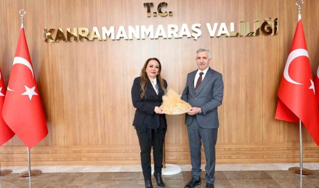 Sağlık Turizmi Konfederasyonu (SATKOF) Genel Başkanı Prof. Dr. Aysun Bay