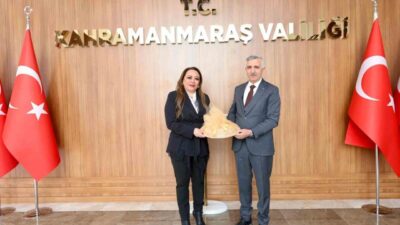 Sağlık Turizmi Konfederasyonu (SATKOF) Genel Başkanı Prof. Dr. Aysun Bay