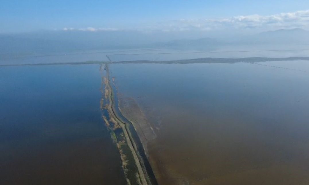 Kahramanmaraş’ta etkili olan sağanak nedeniyle Türkoğlu ilçesindeki binlerce dönüm tarım