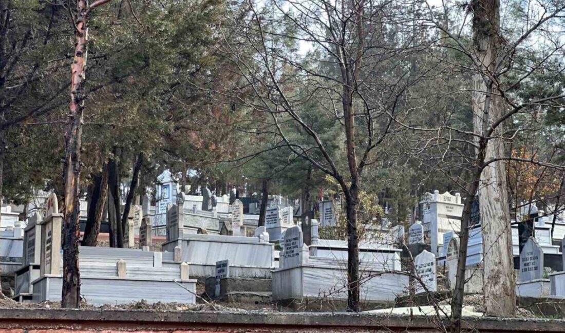 Kahramanmaraş’ta mezarlıkta cesedi bulunan 39 yaşındaki 2 çocuk annesi Alev