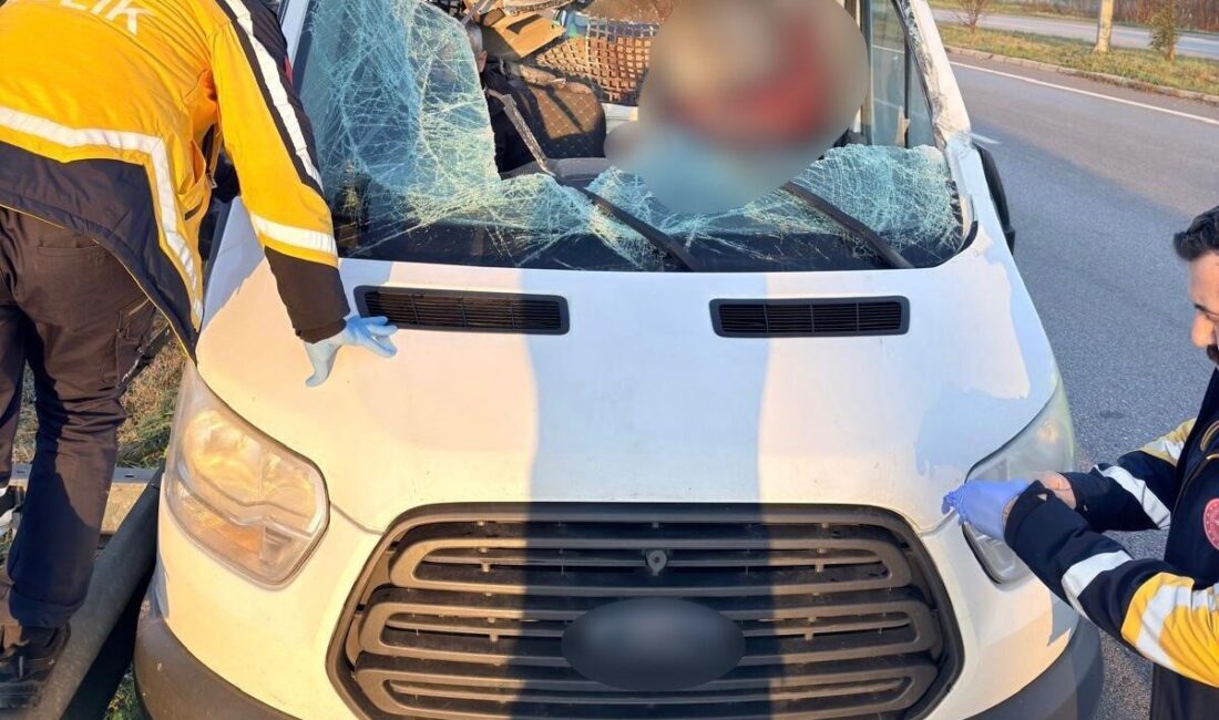 Samsun’un Terme ilçesinde beton köprü ayağı yüklü tıra arkadan çarpan