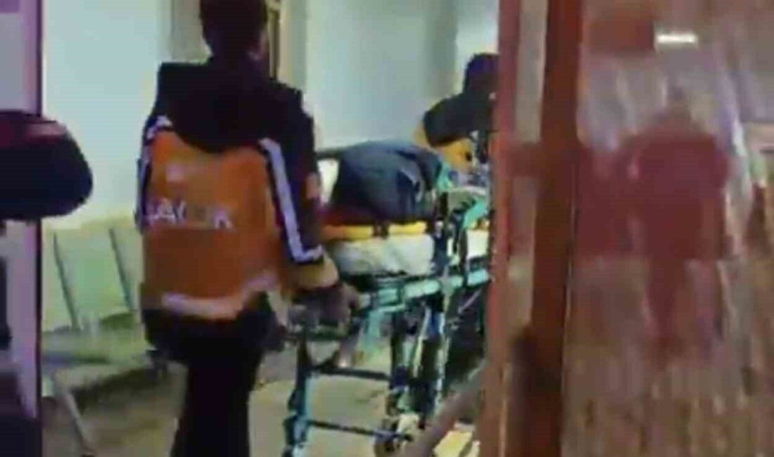 Adıyaman’ın Kahta ilçesinde meydana gelen trafik kazasında kamyonetin şarampole yuvarlanması