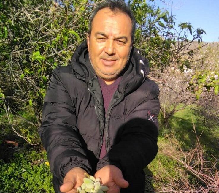 Türkiye’nin büyük bölümünde soğuk hava ve yağış etkili olurken, Mersin’in