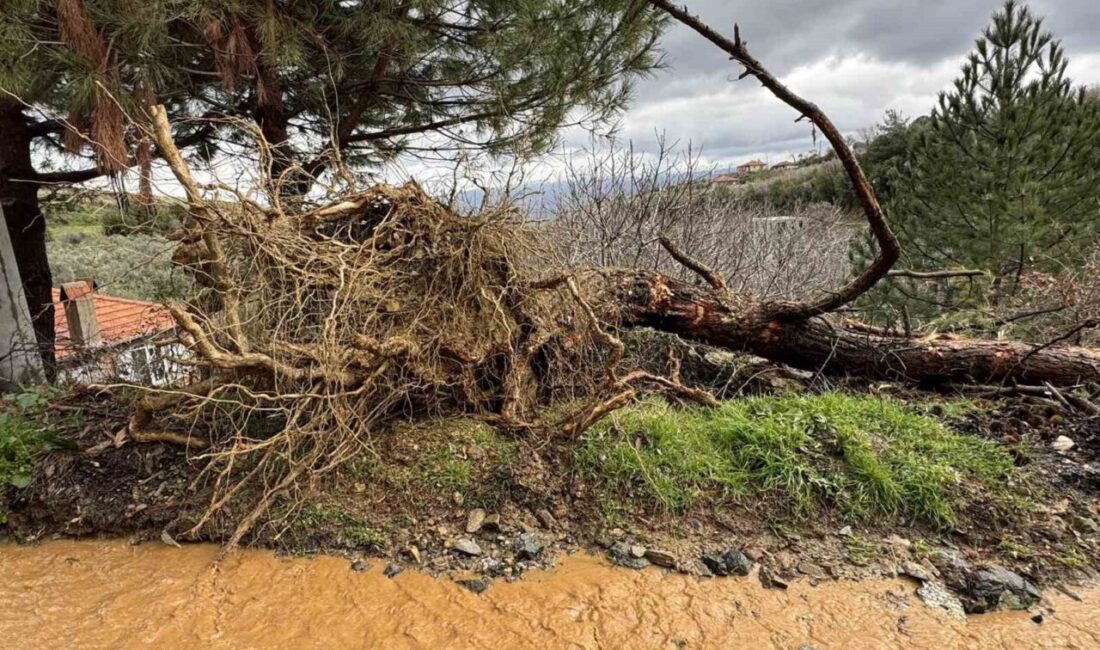 Aydın’ın Karacasu ilçesinde etkili olan sağanak yağış sonrasında bazı bölgelerde