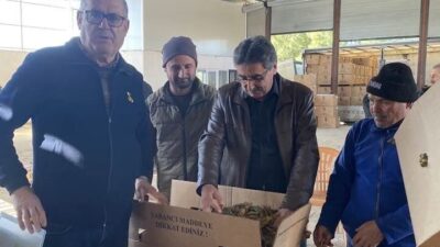 Aydın’da 35 bin dekarlık ekim alanı ile en çok tütün