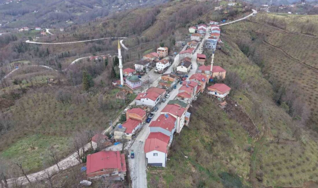Türkiye’de eşi ve benzeri bulunmayan, Karadeniz fıkrası gibi olan mahallede