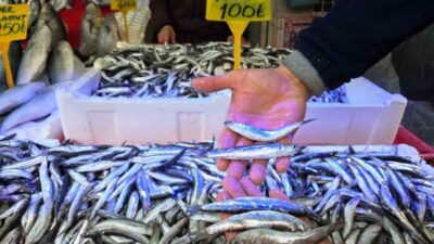 Karadeniz’de yaşanan hamsi bolluğu hem balıkçının hem vatandaşın yüzünü güldürdü.
