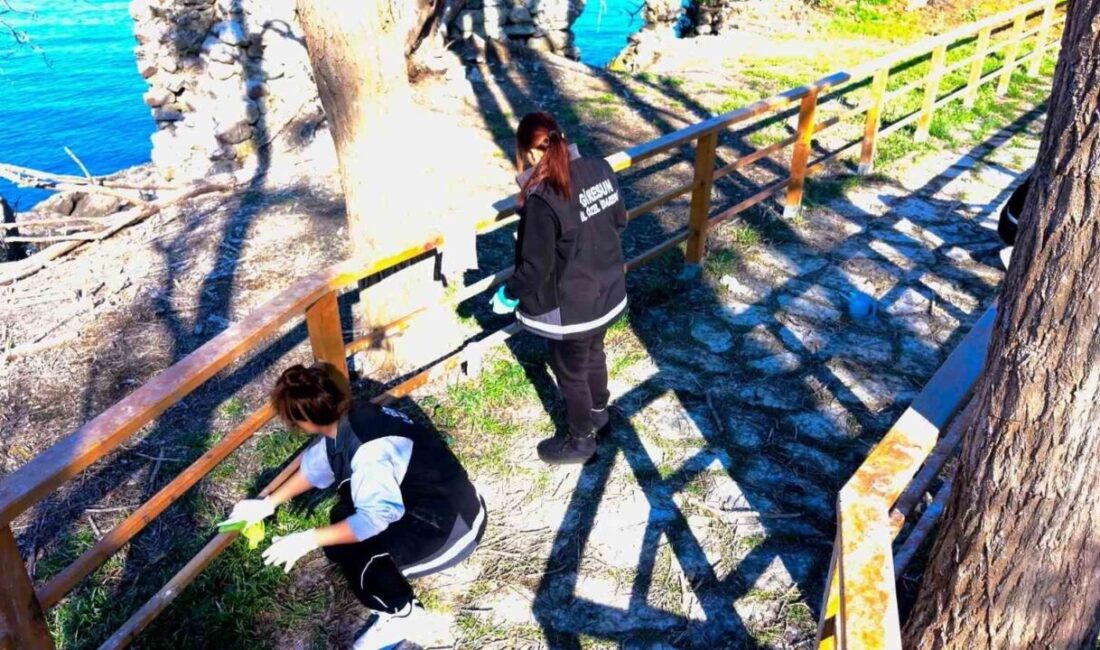 Giresun İl Özel İdaresi, Giresun Adasında geniş kapsamlı bir çevre