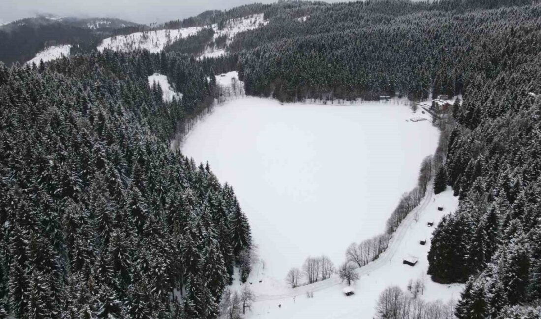 Artvin’in Sahara Milli Parkı’ndaki Karagöl buz tutarken, her mevsimde olduğu