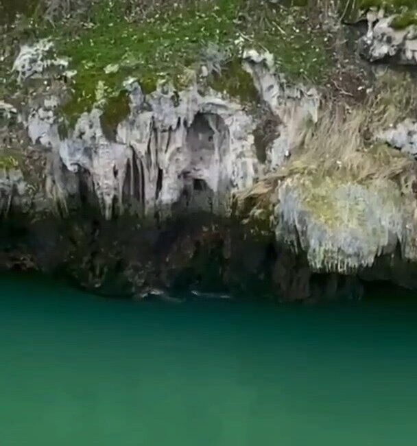 Elazığ’ın Karakoçan ilçesinde, su samurları görüntülendi. Elazığ’ın Karakoçan ilçesine bağlı