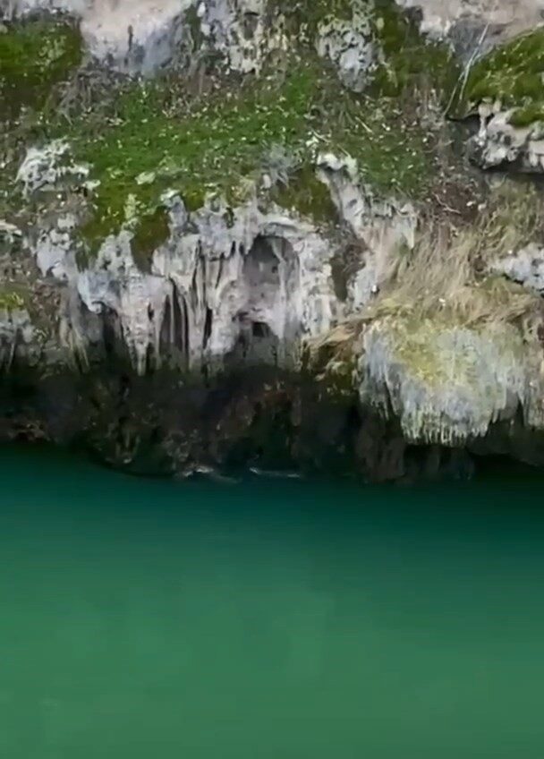 Elazığ’ın Karakoçan ilçesinde, su samurları görüntülendi. Elazığ’ın Karakoçan ilçesine bağlı