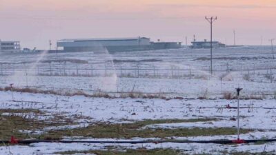 Şanlıurfa’da günlerdir etkili olan yağışın ardından karla kaplanan tarım arazilerine