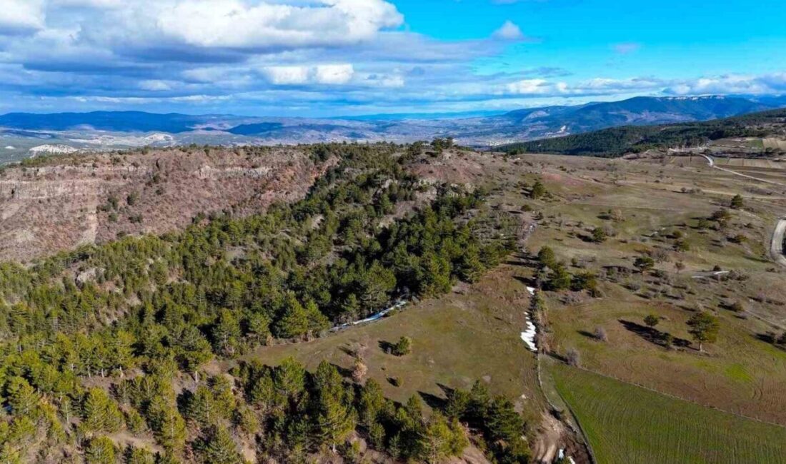 Kastamonu’nun İhsangazi ilçesinde karların erimesiyle birlikte yeşil örtüyle kaplanmaya başlayan