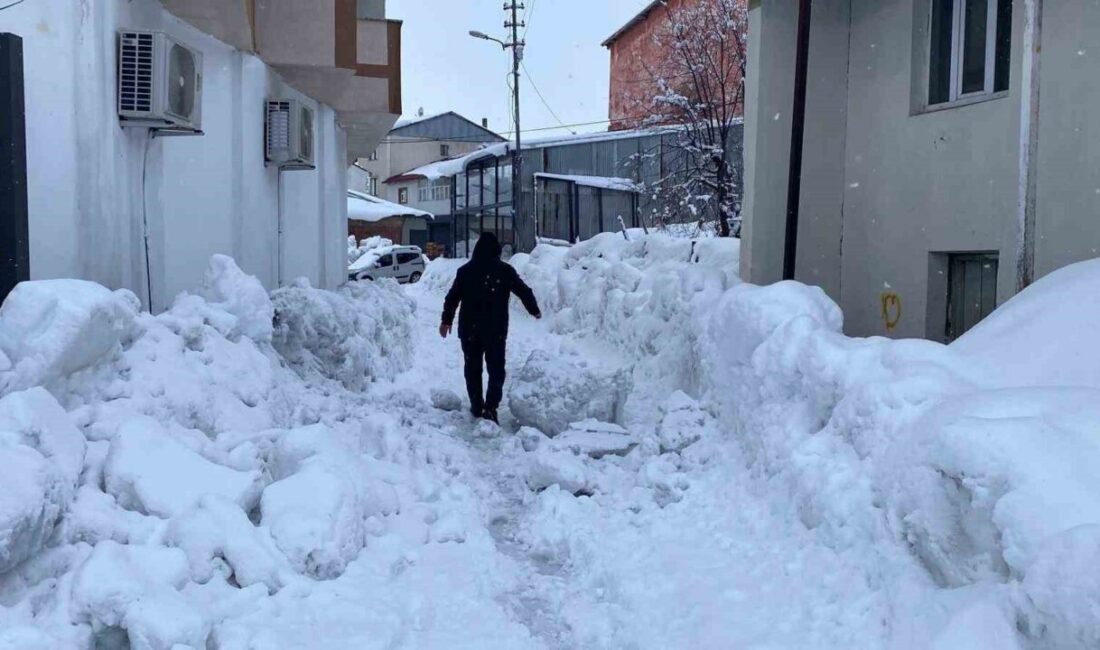Bingöl’ün Karlıova ilçesinde yaklaşık 40 gündür etkisini aralıklarla sürdüren yoğun