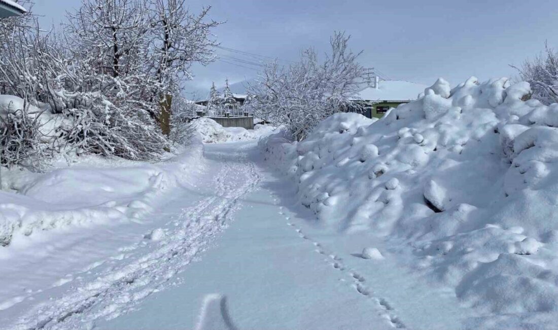Bingöl’ün Karlıova ilçesinde etkisini sürdüren yoğun kar yağışı hayatı olumsuz