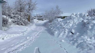 Bingöl’ün Karlıova ilçesinde etkisini sürdüren yoğun kar yağışı hayatı olumsuz